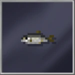 Herring Small