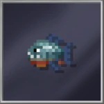 Piranha Small